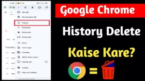 Google Chrome History Delete